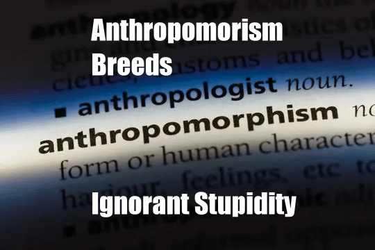 Anthropomorism Breeds Ignorant Stupidity